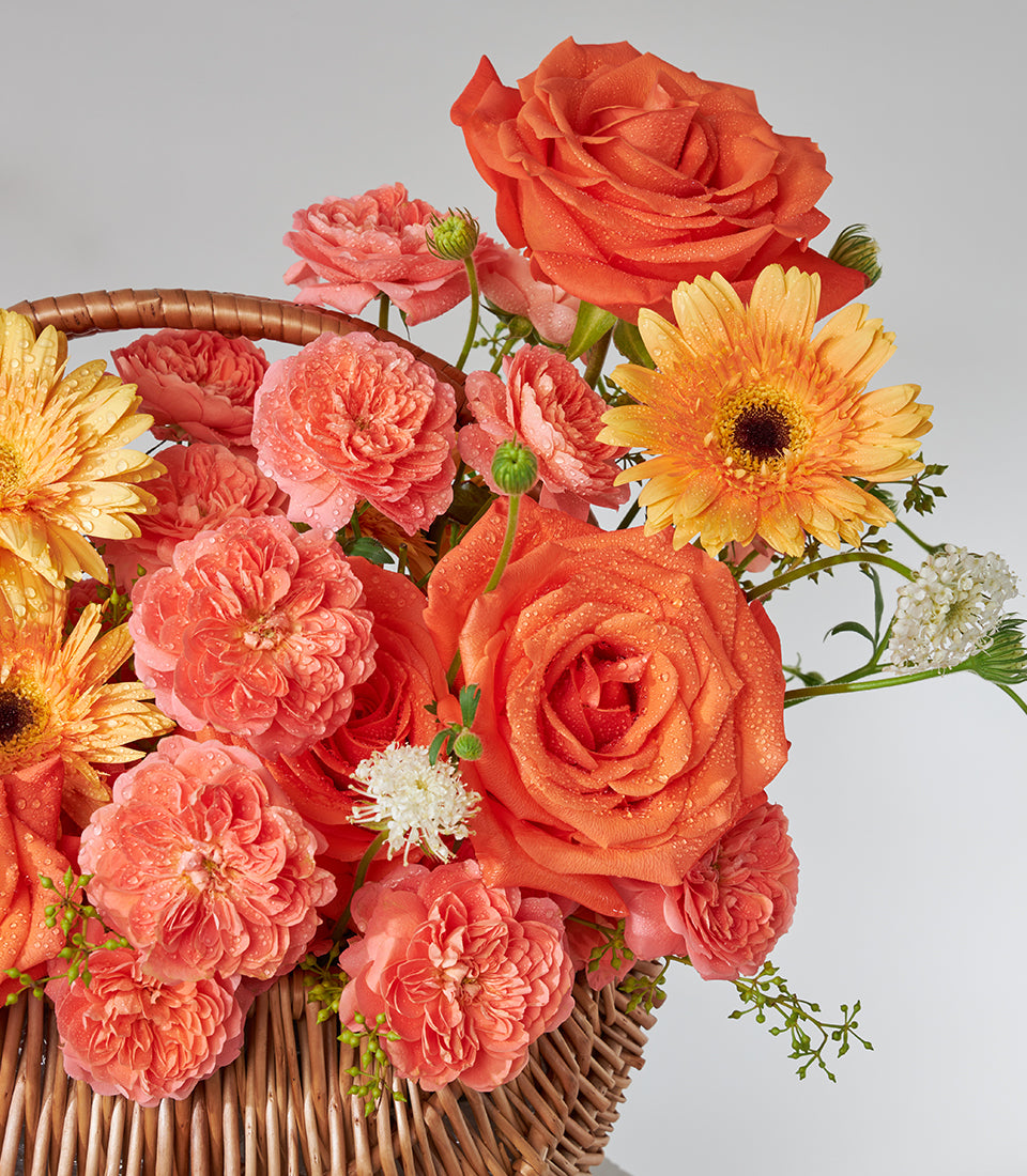 Vibrant orange roses, gerbera daisies, and carnations in woven wicker basket with fresh water droplets