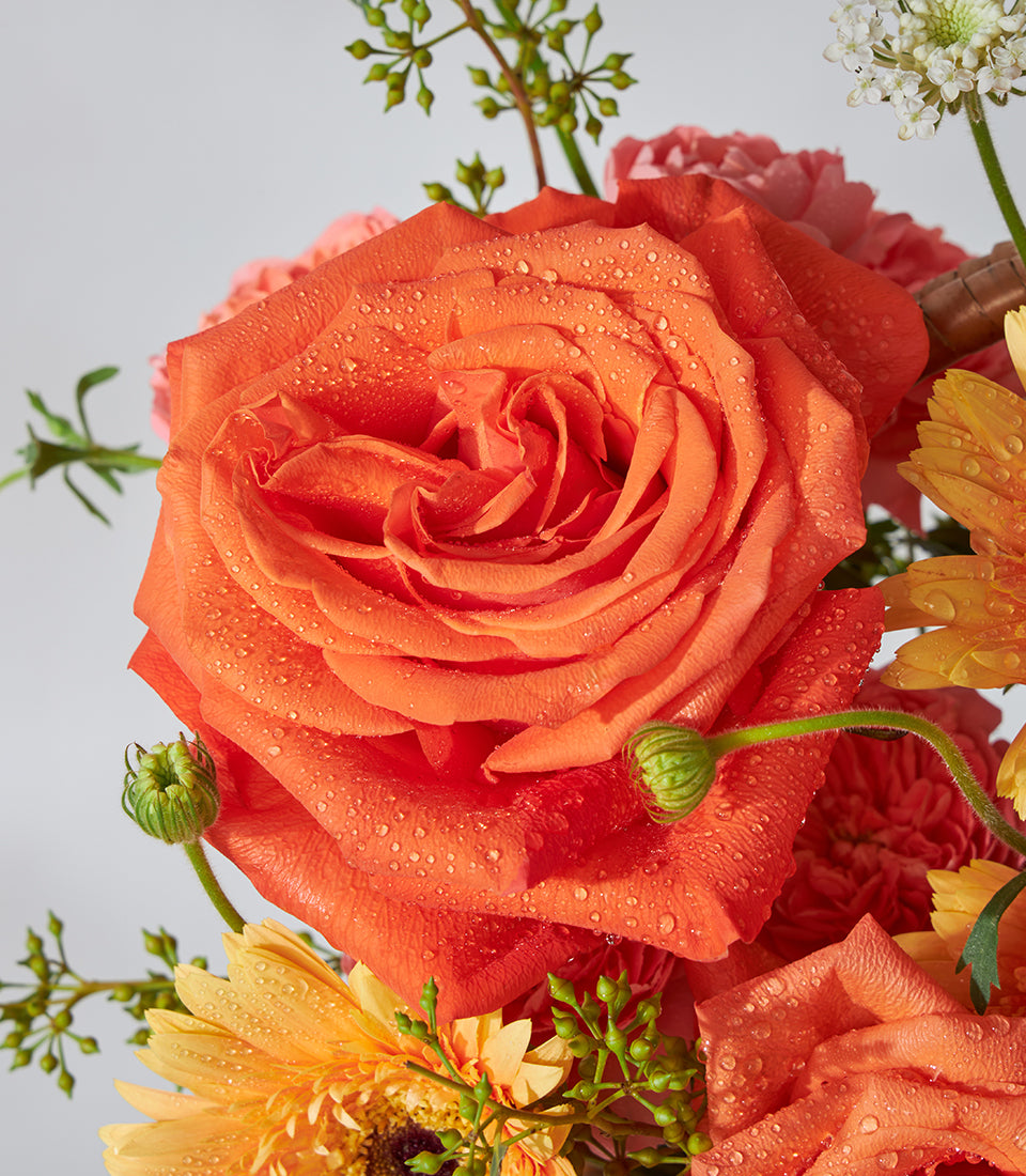Vibrant orange roses, gerbera daisies, and carnations in fresh flower basket arrangement