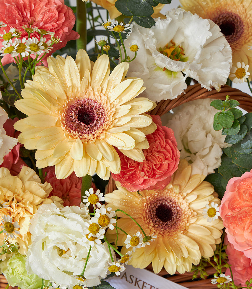 Peach roses, white carnations and yellow gerbera fresh flower basket bouquet for birthday gifts