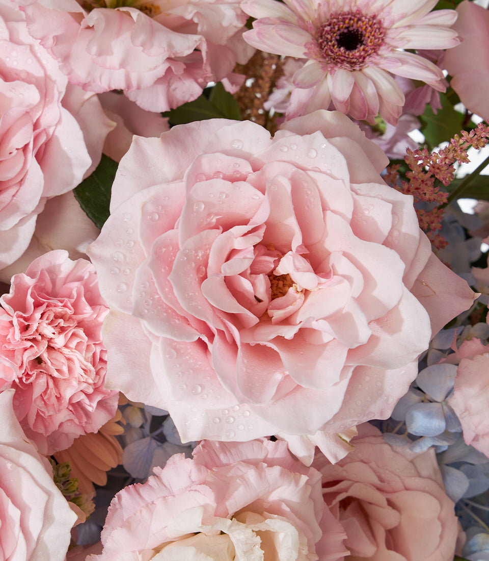 Pink roses, carnations, and gerbera in fresh flower basket arrangement with light blue hydrangea accents