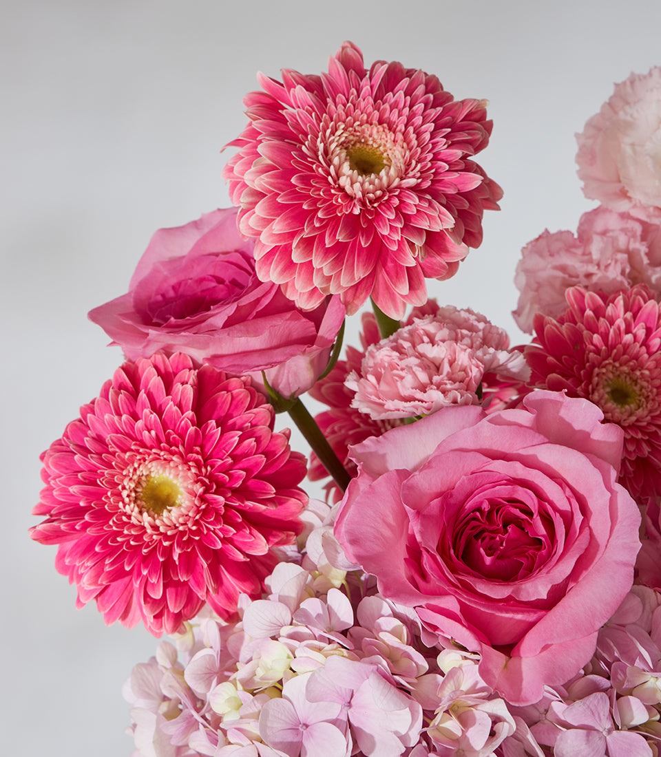 Hot pink roses, gerberas and hydrangeas in woven basket arrangement for gifting