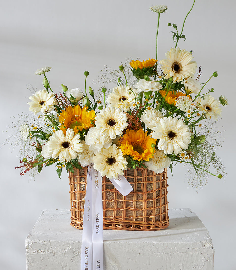 Vibrant yellow sunflowers and white gerbera daisies in woven wicker basket with satin ribbons, fresh birthday flower gift