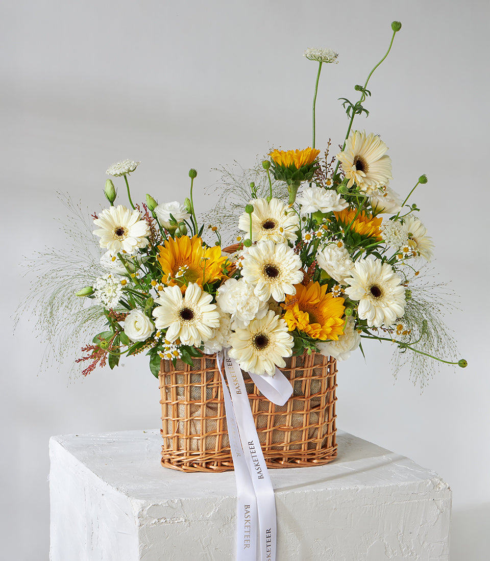 Sunflower and white gerbera daisy wicker basket bouquet with baby's breath, perfect for birthday flower gifts