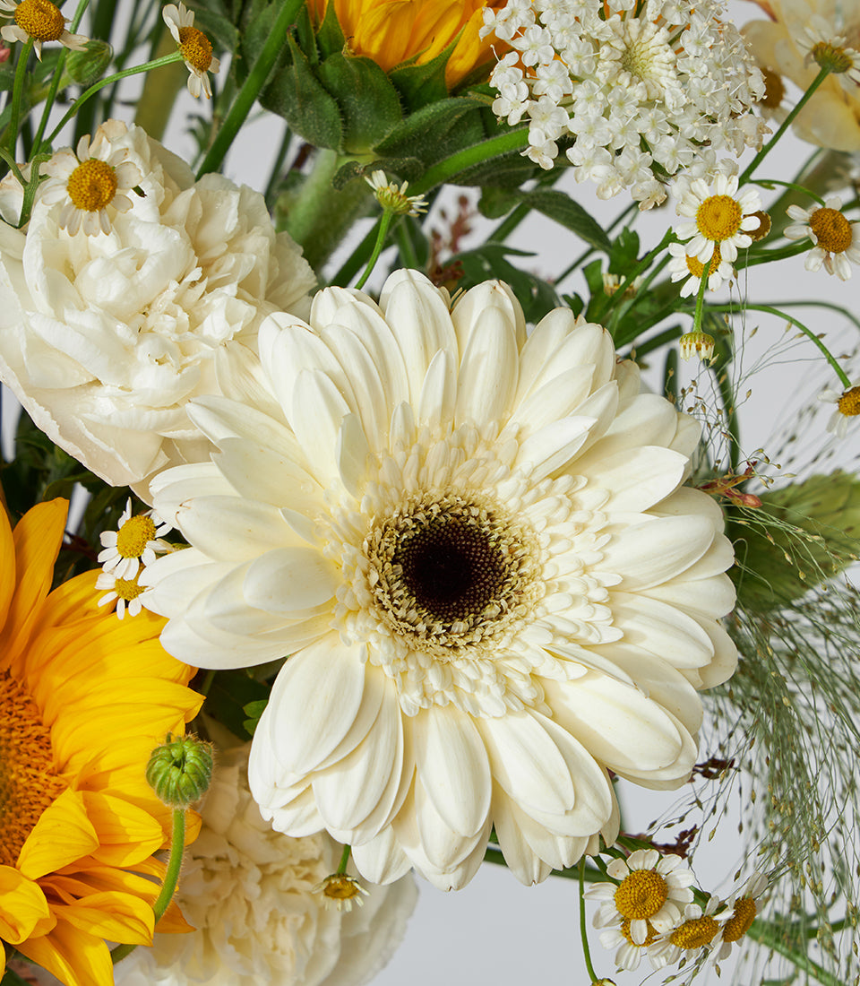 Sunflower and white gerbera daisy birthday bouquet with ranunculus and green foliage in basket arrangement