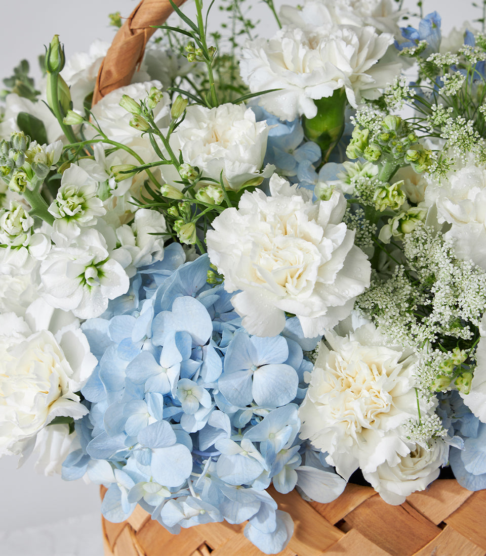 White carnations and blue hydrangeas in woven basket, fresh birthday flower gift arrangement