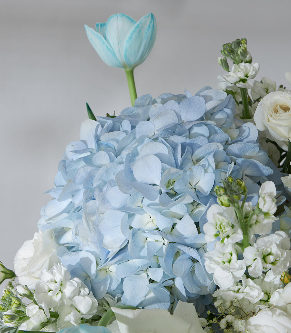 Fresh white roses, blue hydrangeas and tulips in luxury basket arrangement
