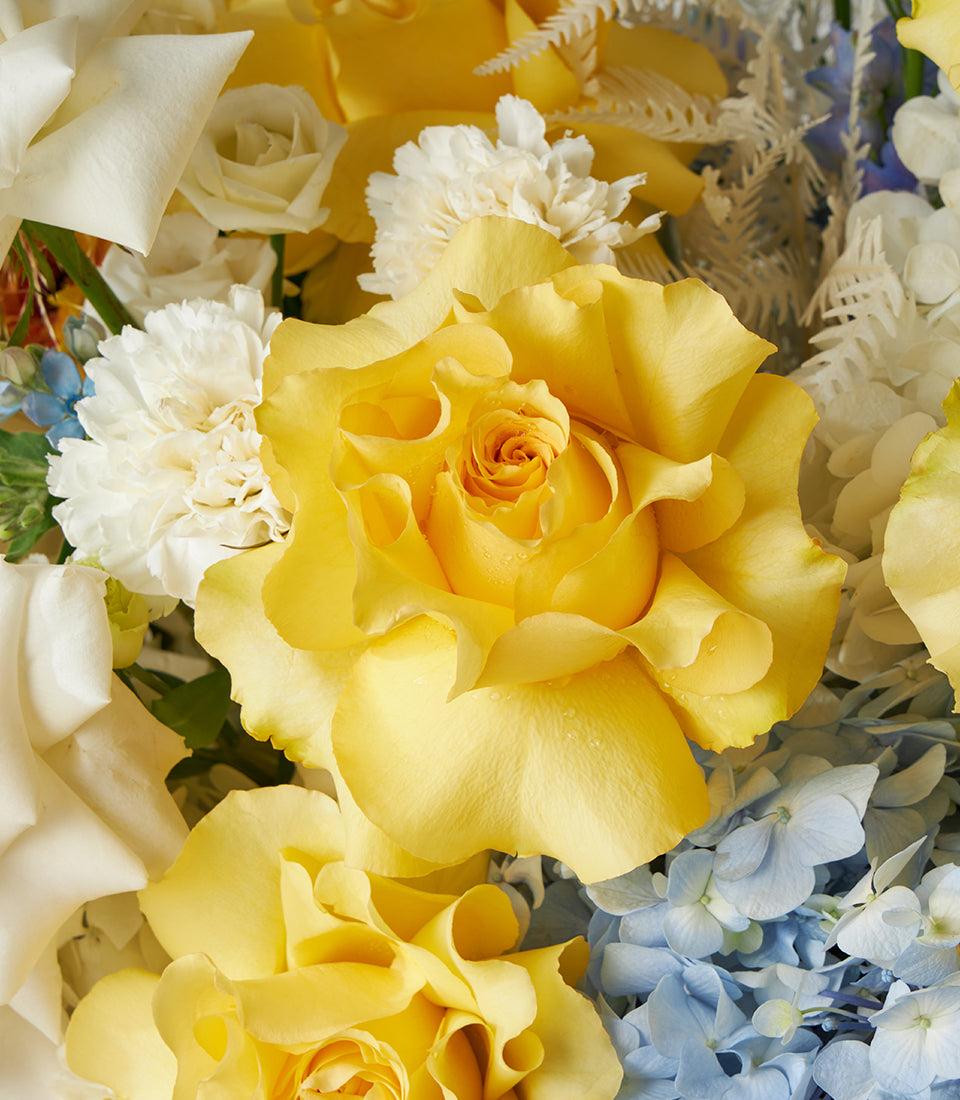 Yellow and white roses with blue hydrangeas in a fresh flower basket arrangement