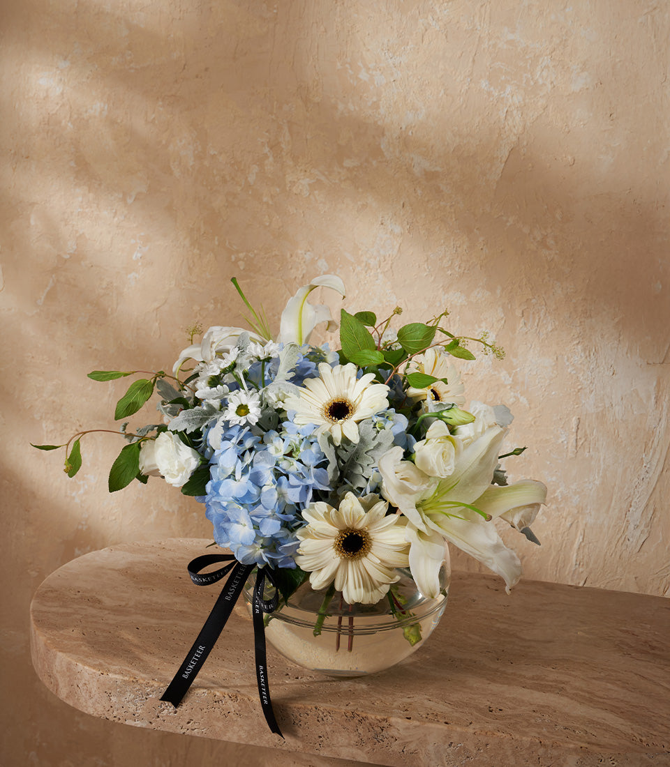 Blue hydrangea and white daisy arrangement in clear glass vase with black ribbon, premium fresh flowers gift