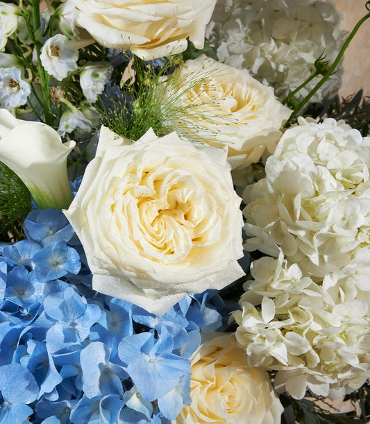 Premium white roses and blue hydrangea vase arrangement with fresh calla lily and green foliage