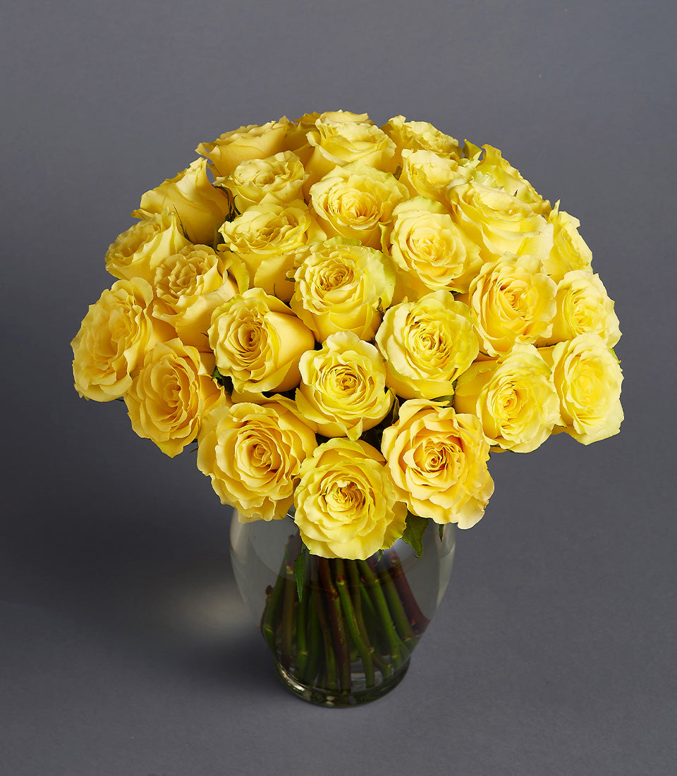 Vibrant yellow roses in clear glass vase, fresh Ecuadorian blooms ideal for gifting