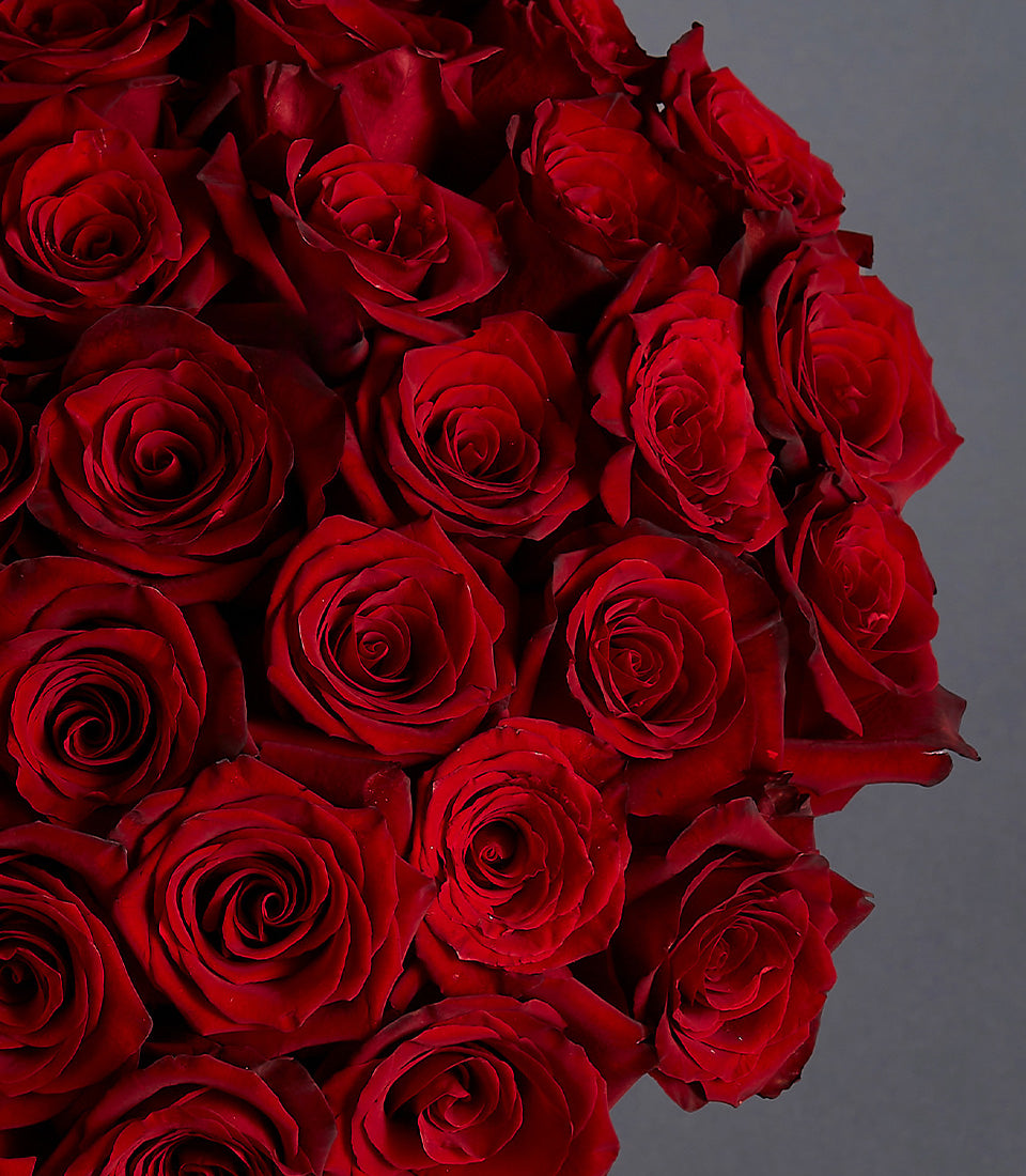 Scarlet Blooms Flowers Romance