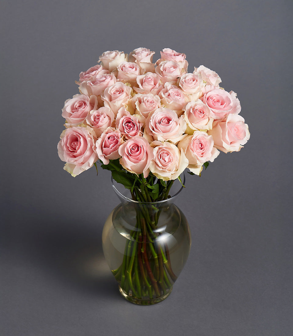 Soft pink rose bouquet in clear glass vase, two dozen Ecuadorian blooms for gifting