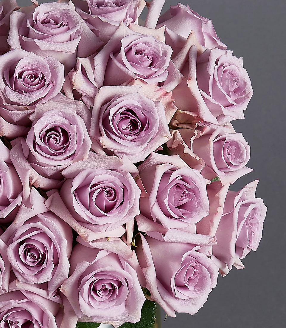 Fresh light purple roses in dense arrangement with dewy petals, premium gift bouquet