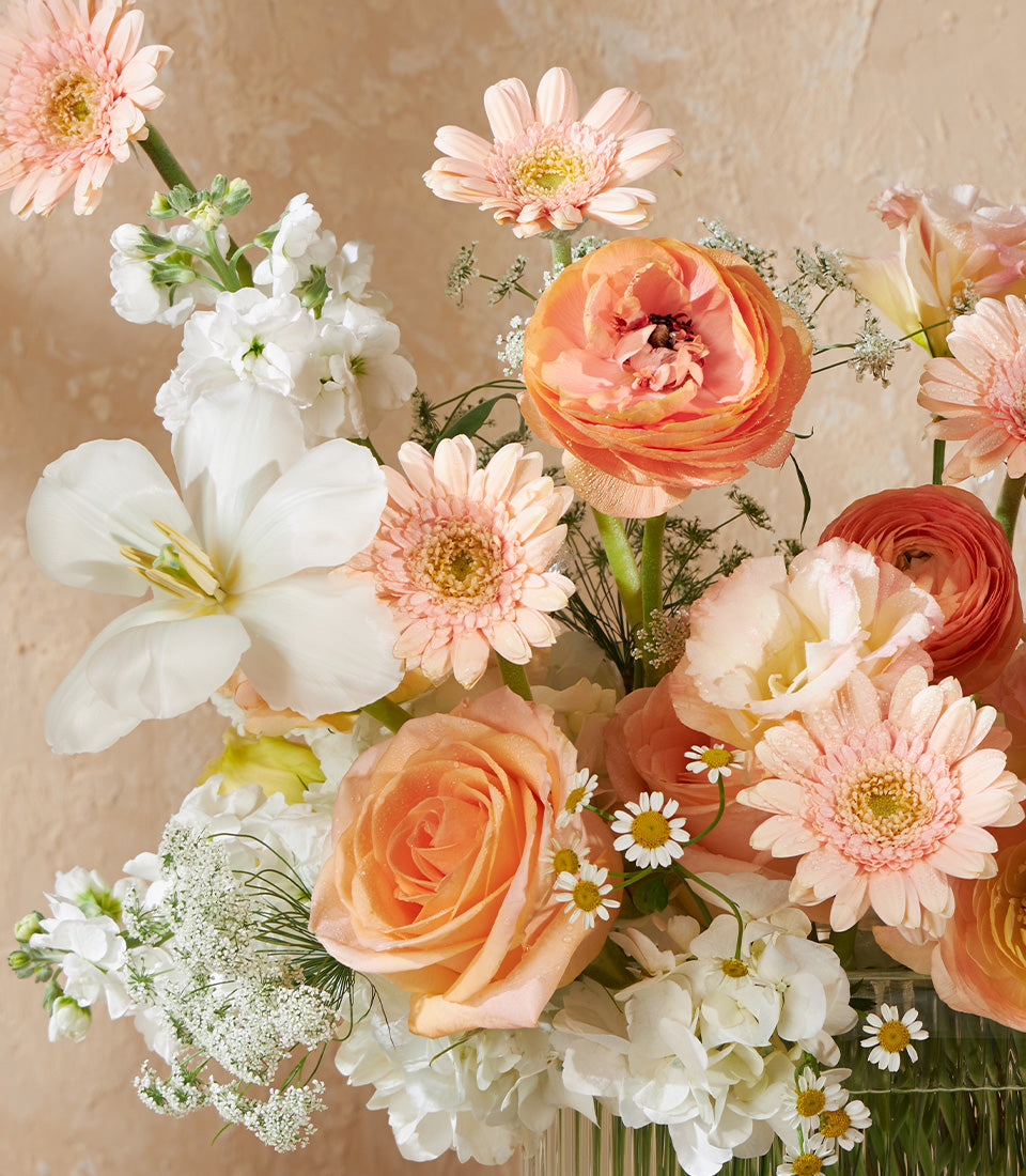 Peach Harmony fresh flower arrangement with ranunculus, gerbera, and roses in clear glass vase