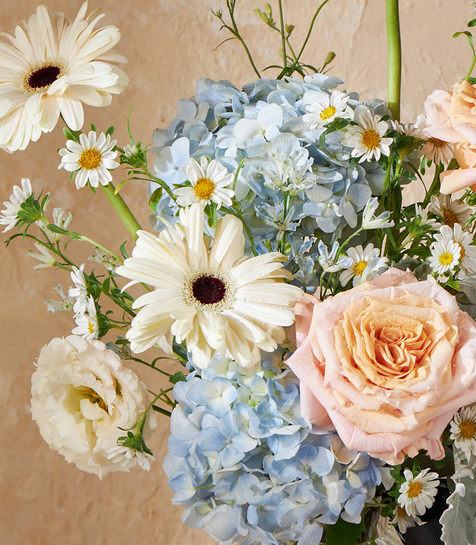 Radiant Harmony vase arrangement with white gerberas, blue hydrangeas, peach roses and cream lisianthus