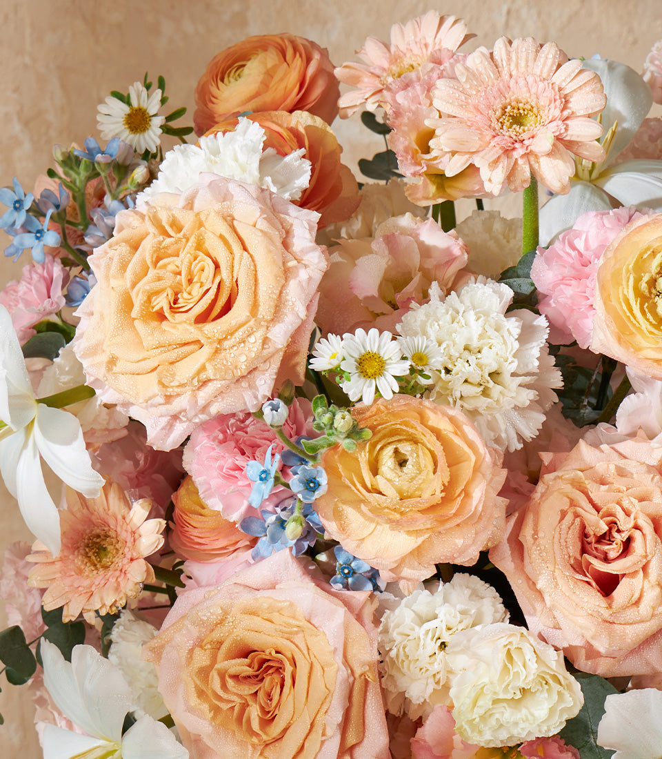 Peach and cream roses with ranunculus in a lush fresh flower arrangement with morning dew