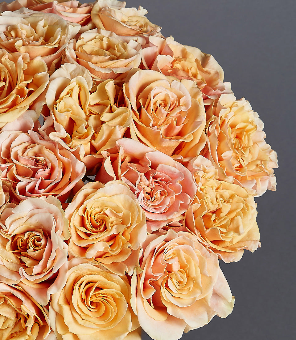 Peach and apricot rose bouquet with soft pink blush tones, tightly clustered in full rounded arrangement for birthdays