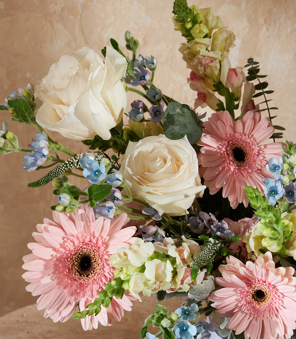 Pastel Grace vase arrangement with pink gerberas, white roses, blue forget-me-nots, and eucalyptus