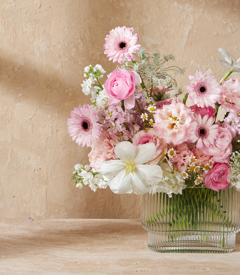 Pink and white gerbera daisies with ranunculus in a ribbed glass vase, elegant congratulations flower gift