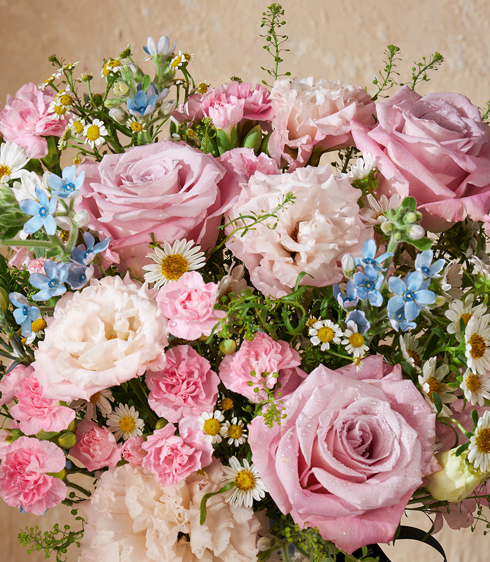 Blush Harmony fresh flower bouquet with pink roses, cream carnations, white daisies, and light blue flowers in clear vase
