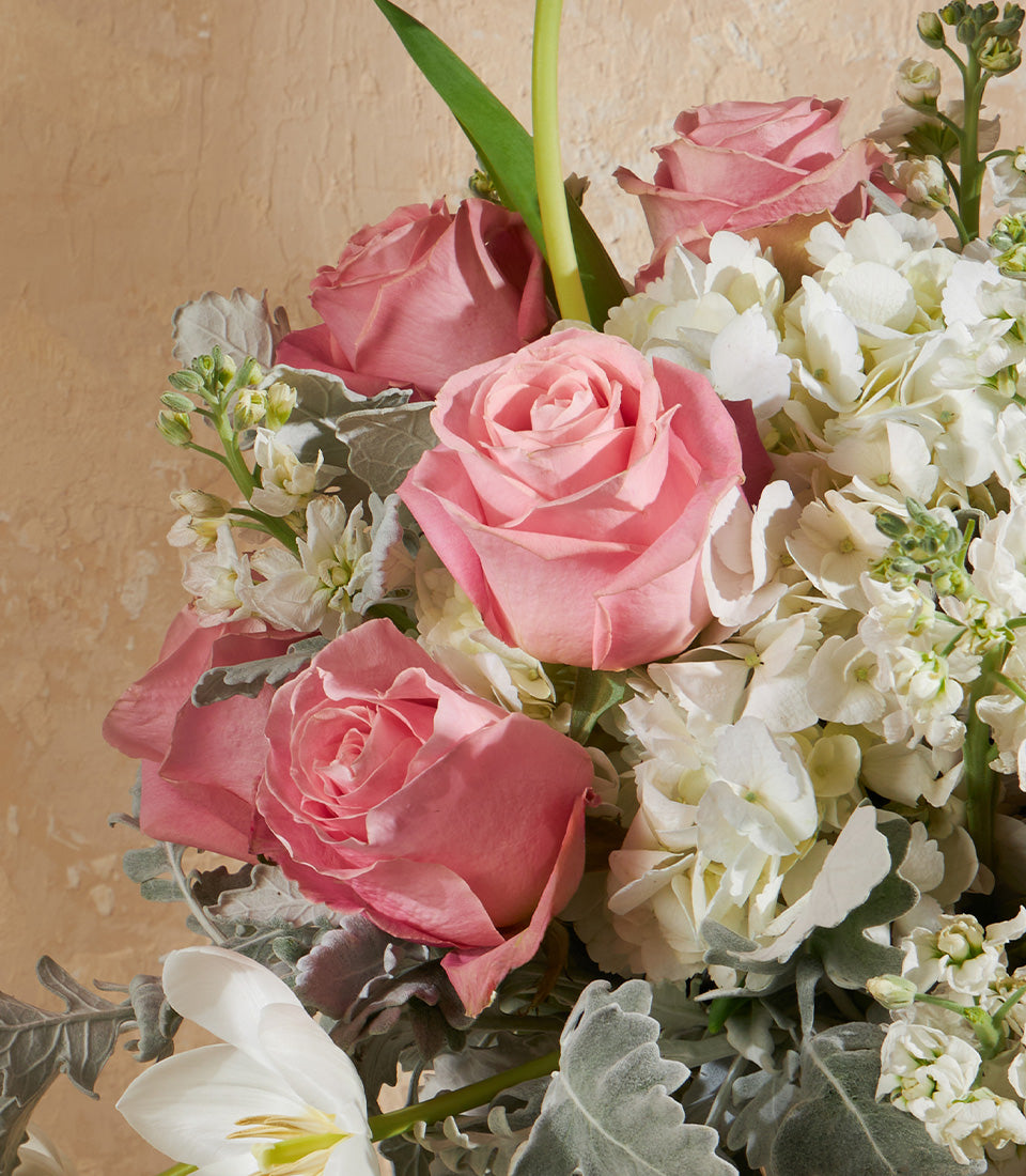 Elegant pink roses with white hydrangeas and silvery dusty miller in premium vase arrangement