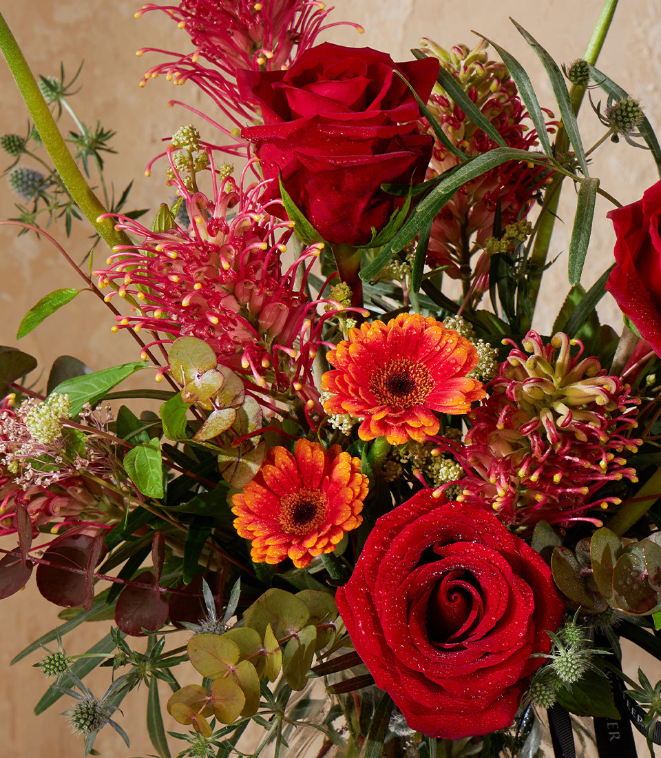 Radiant rouge rose and gerbera vase arrangement with spiky protea and eucalyptus greenery
