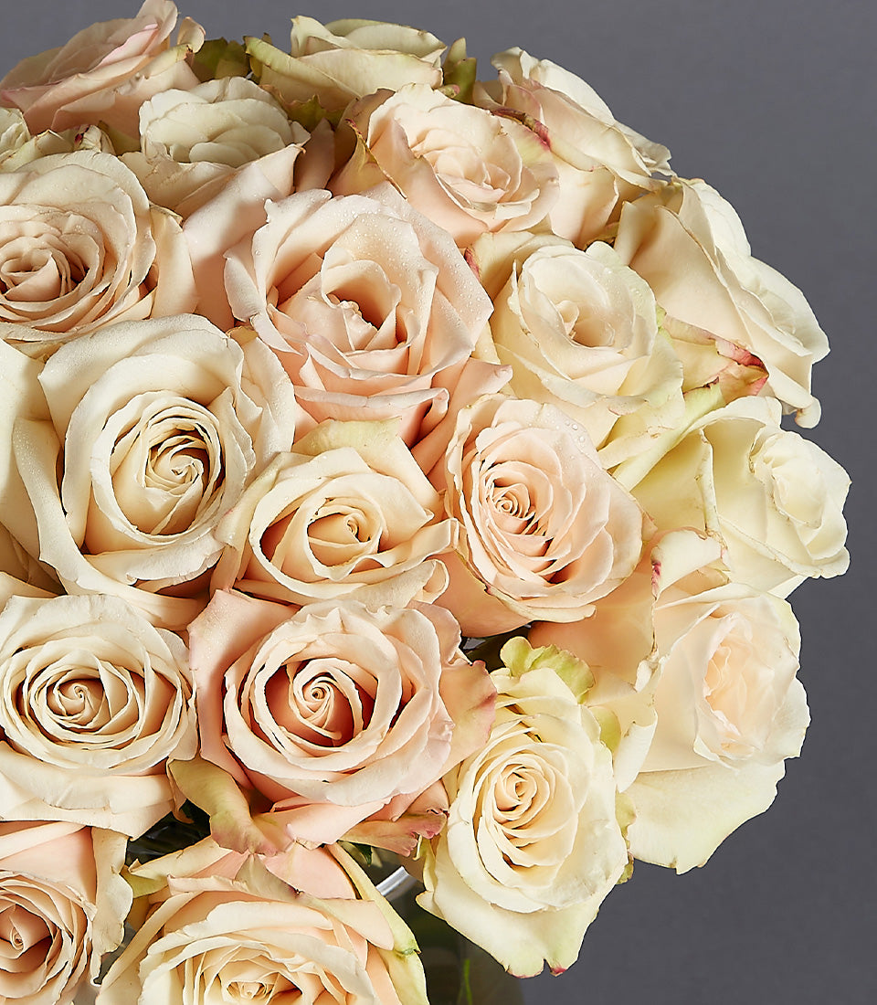 Lush blush pink and cream rose bouquet with layered petals and fresh water droplets, elegant gift arrangement