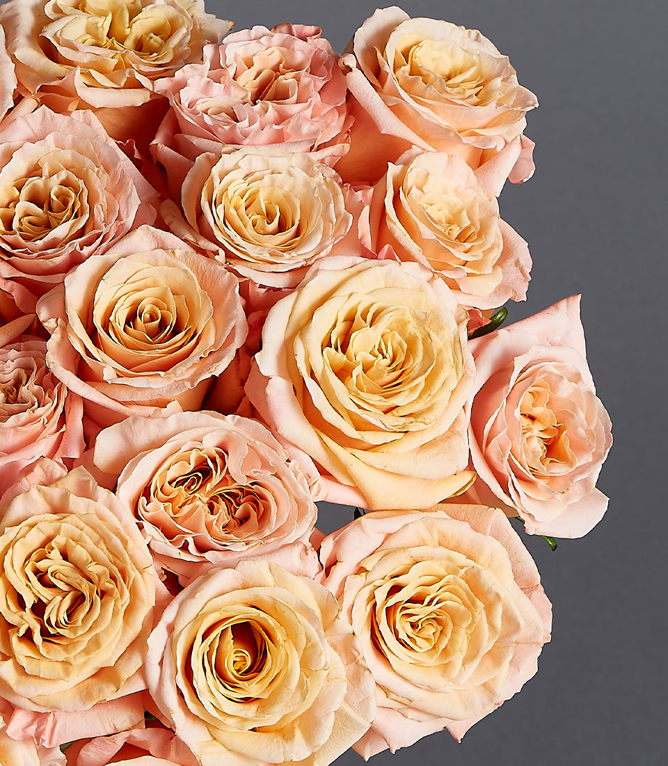 Radiant peach and golden yellow roses in lush vase arrangement for gifting