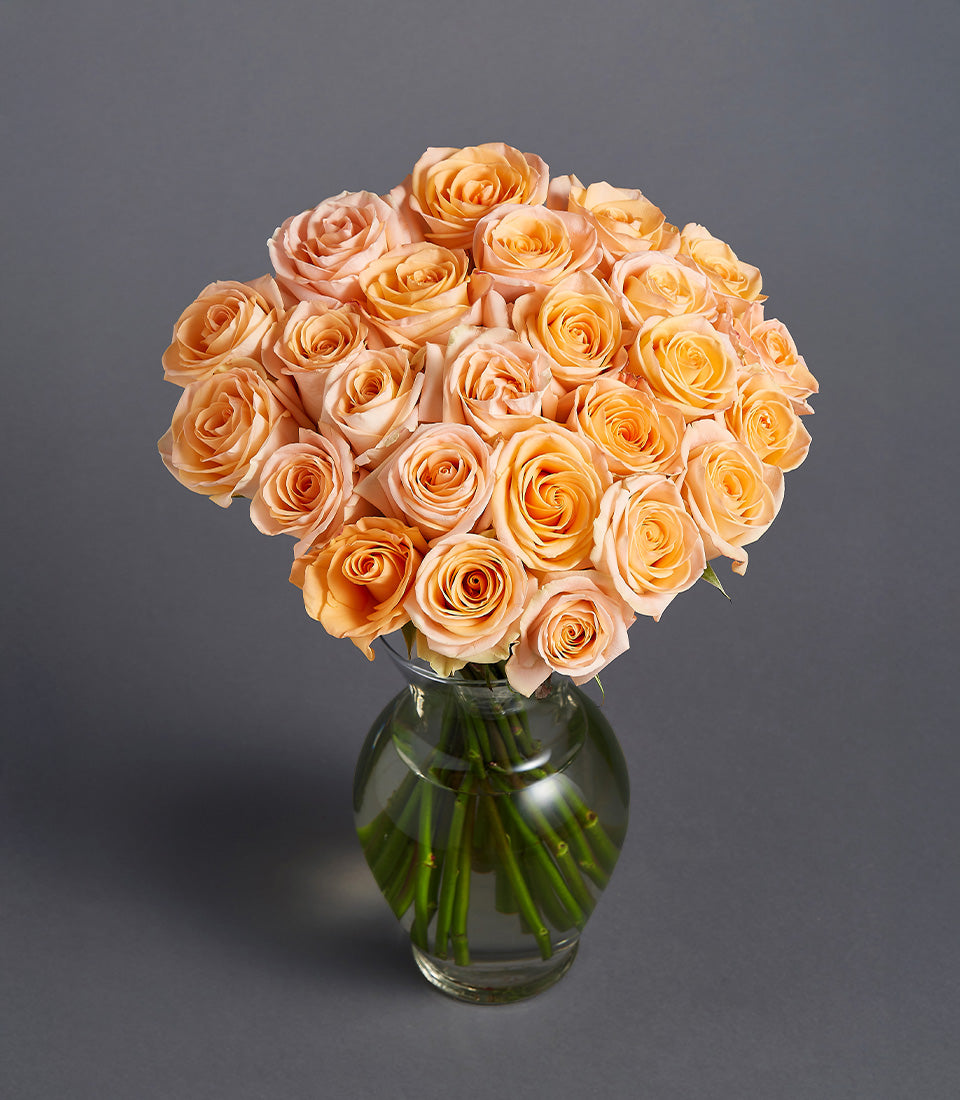 Peach roses in clear glass vase, full rounded arrangement of two dozen stems with warm gradient hues