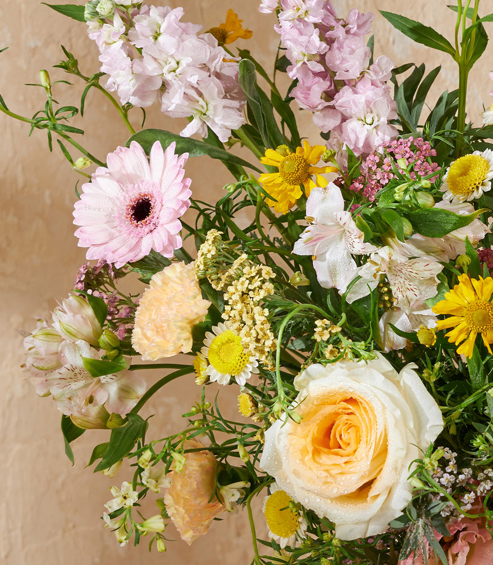 Pastel Garden Symphony fresh flower arrangement with pink gerbera, cream roses, and yellow daisies in vase