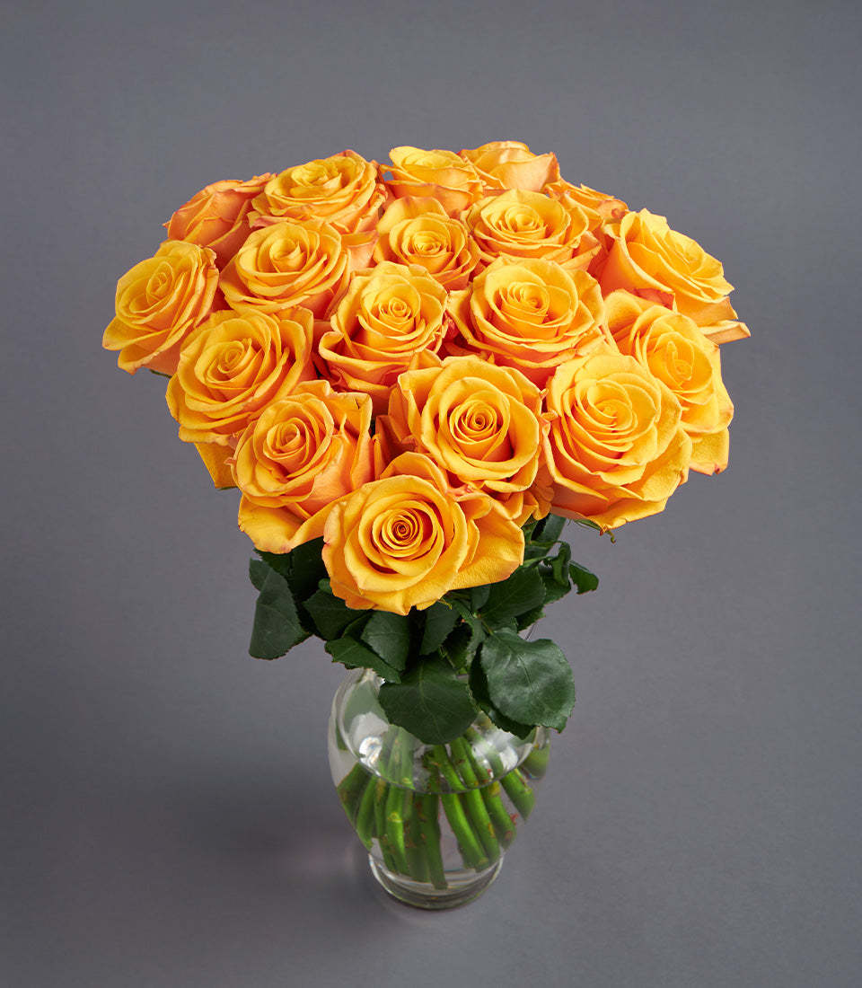 Orange rose arrangement in clear glass vase, premium fresh flowers for gifting