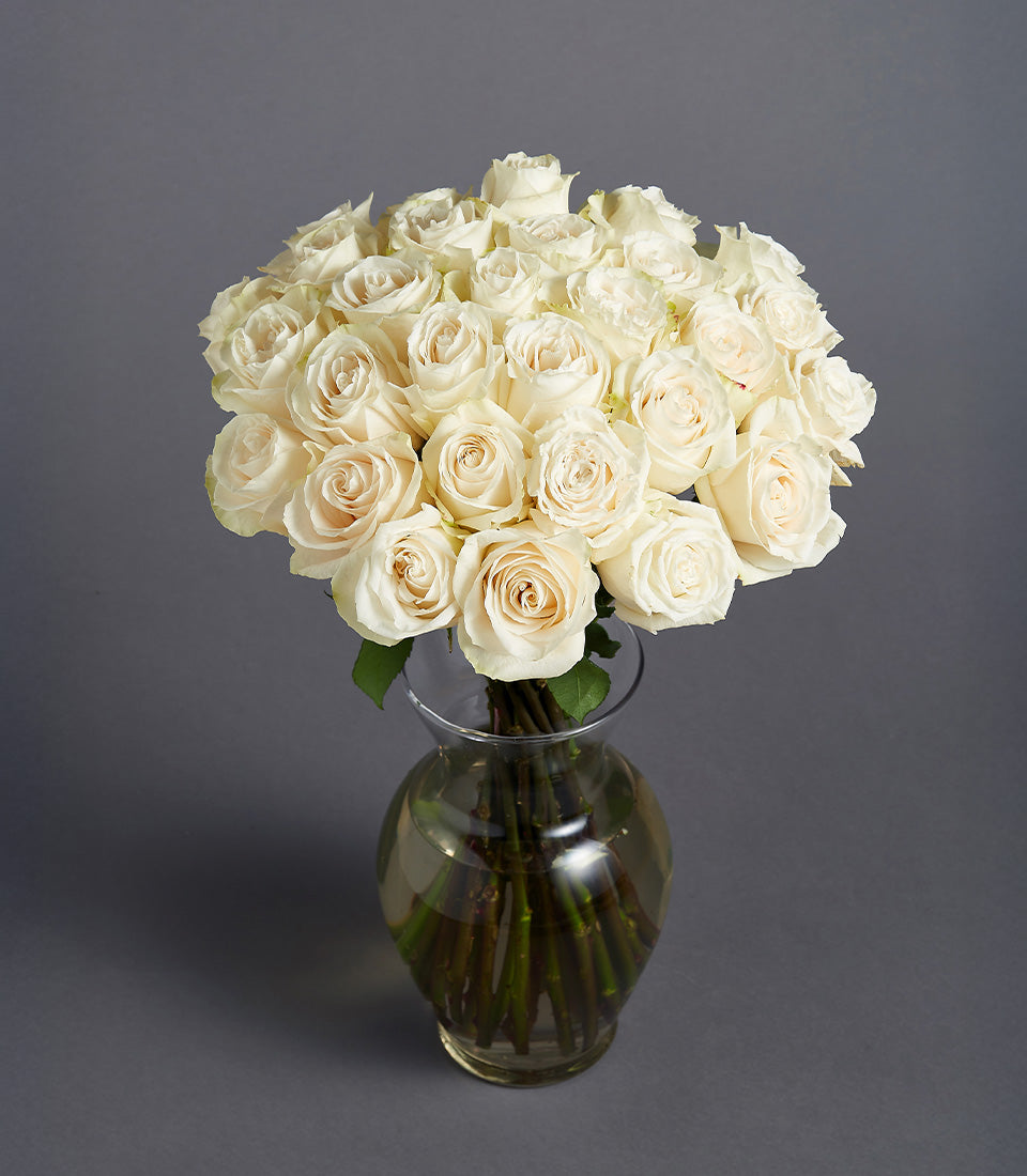 White rose arrangement in clear glass vase, three dozen creamy blooms with pale yellow centers