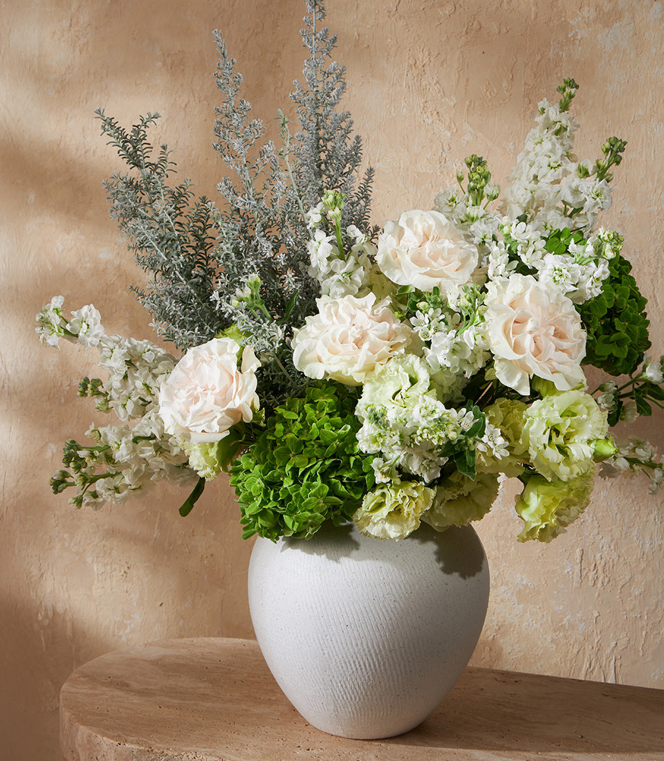 Elegant white ceramic vase filled with white and blush roses, white stock, and green hydrangeas with silvery foliage