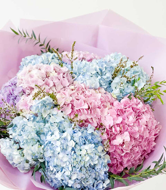 Vibrant hydrangea bouquet in shades of blue, pink, and lavender with green foliage, wrapped in light purple paper