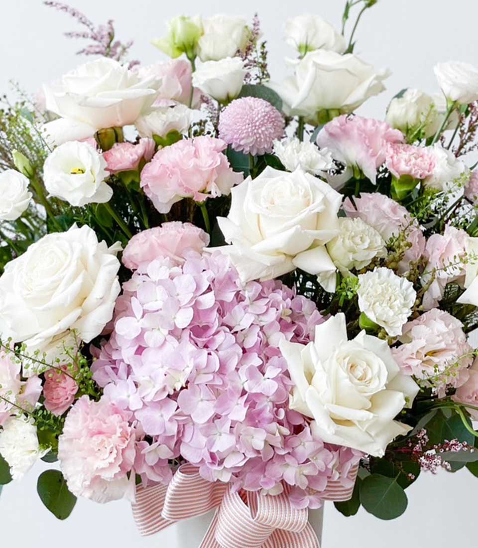 Blush Serenity fresh flower vase with white roses, pink hydrangeas, and lisianthus in striped ribbon