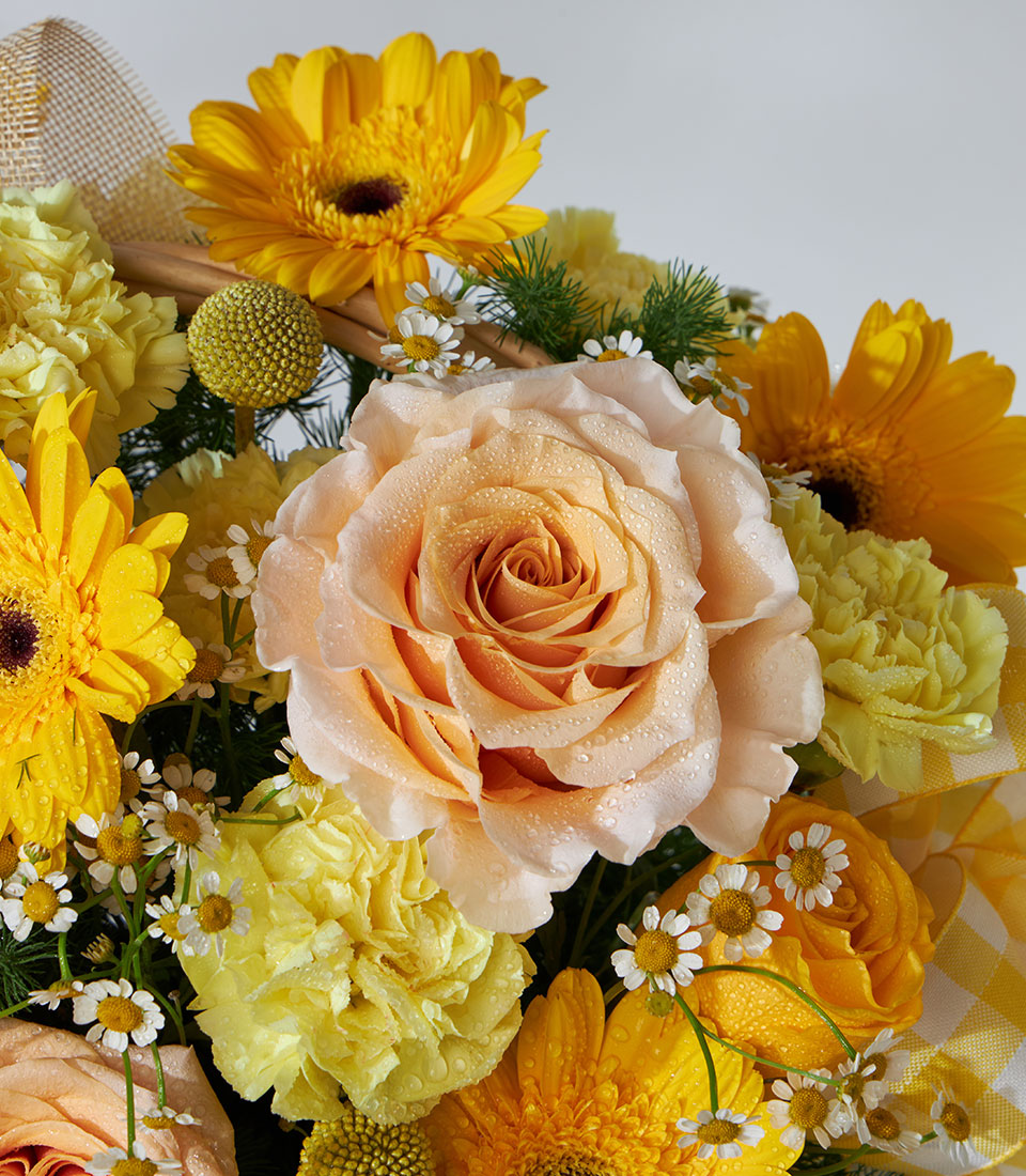Yellow and peach roses with gerbera daisies and carnations in woven get well flower basket