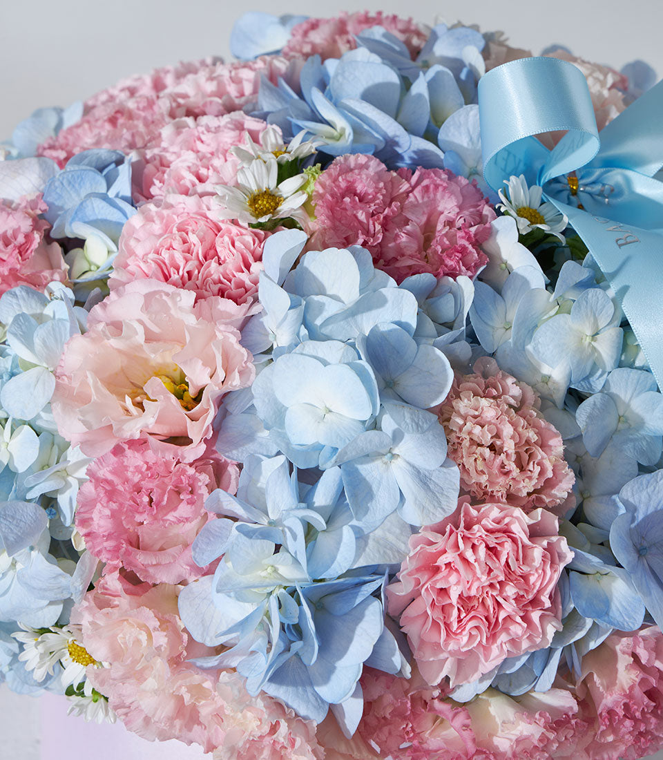 Pastel blue hydrangeas and pink carnations fresh flower box with satin ribbon