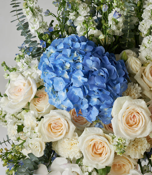 White O'Hara roses and blue hydrangeas fresh flower arrangement in pedestal vase