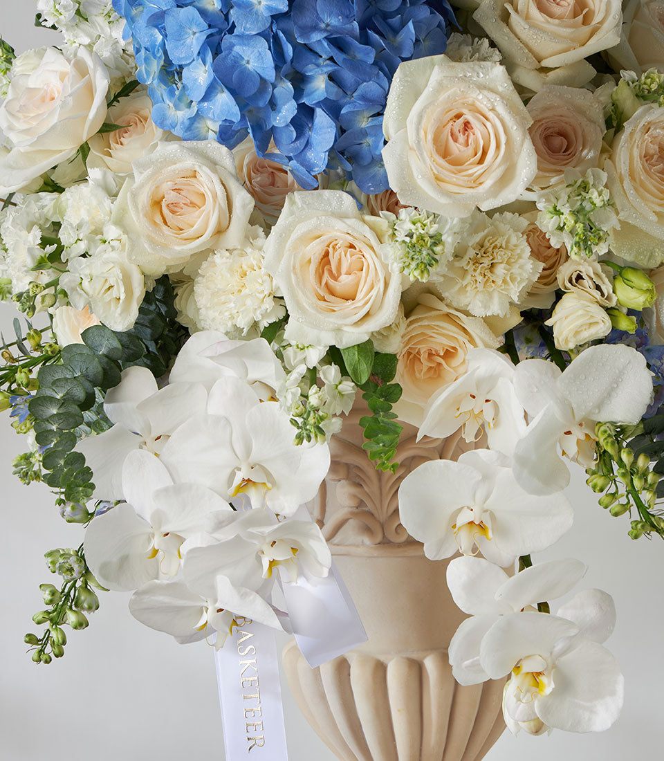 White O'Hara roses and blue hydrangeas in cream fluted pedestal vase with fresh orchids