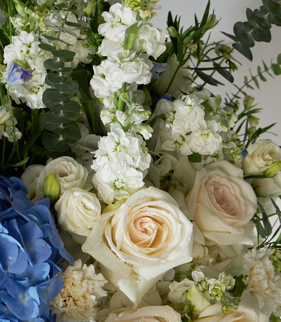 White O'Hara roses and blue hydrangeas in pedestal vase, fresh luxury flowers for gifting