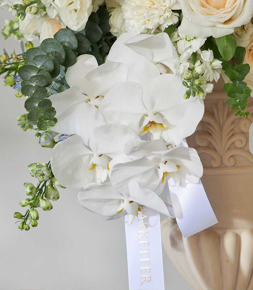 White orchids and hydrangeas in cream pedestal vase with eucalyptus, luxury fresh flower arrangement
