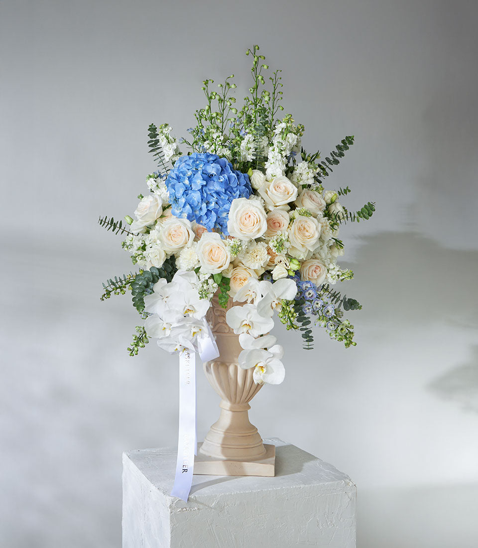 White O'Hara roses and blue hydrangeas in classic angel pedestal vase with cascading orchids
