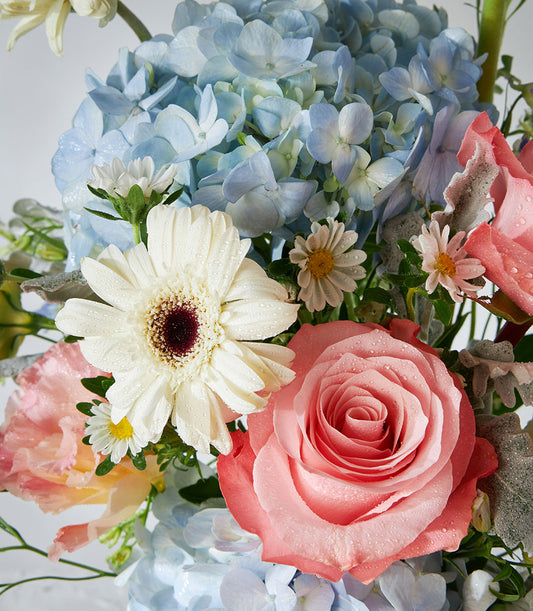 Kahara roses and blue hydrangeas in fresh flower arrangement with gerbera daisy