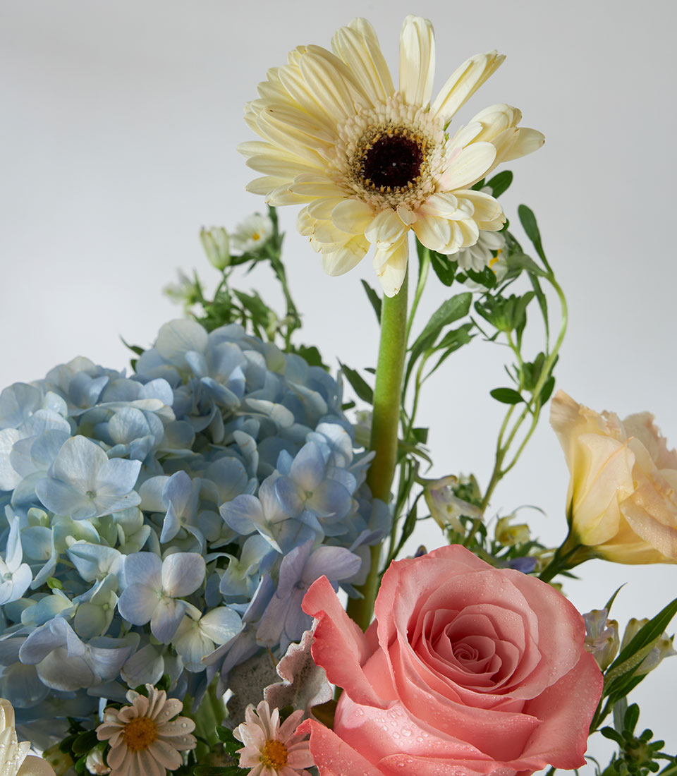 Premium Kahara roses and blue hydrangeas in clear glass vase, fresh luxury flower arrangement