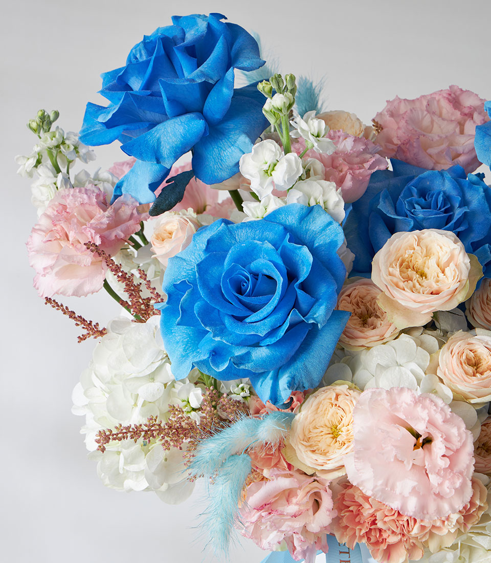 Luxury blue rose and pastel flower box with white hydrangea, pink carnations, and peach garden roses
