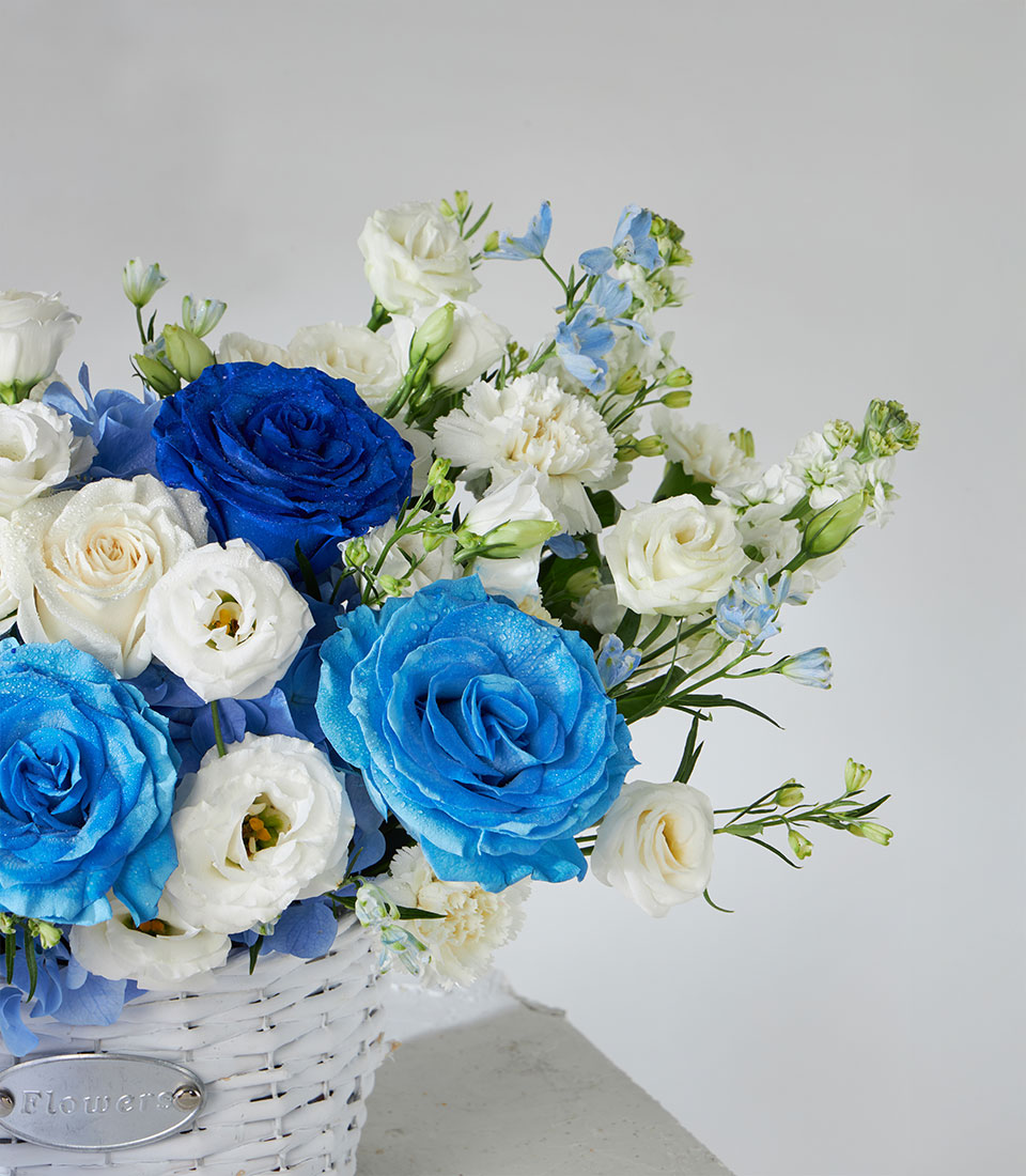 Tinted blue roses and white hydrangea in woven basket with fresh water droplets