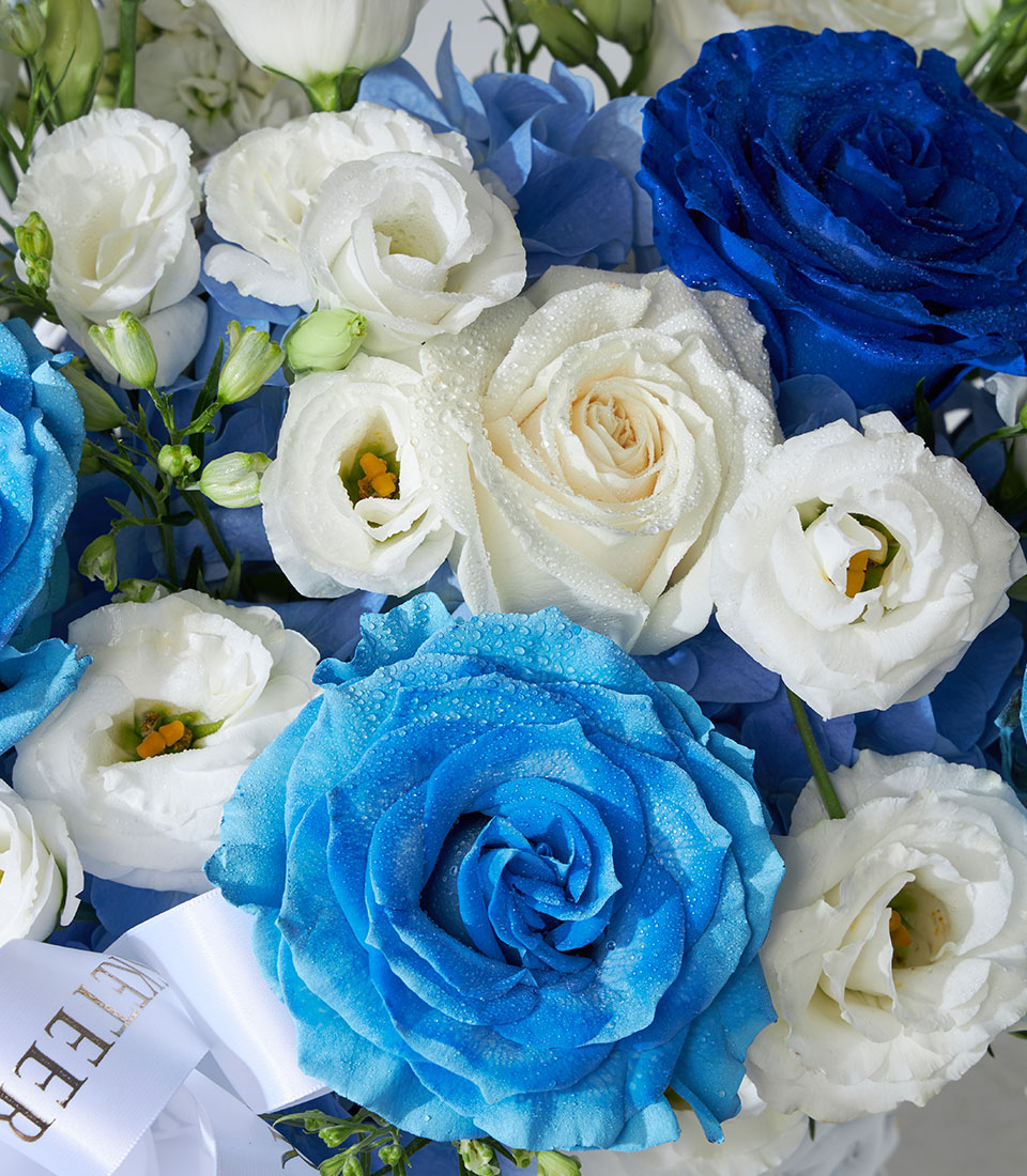 Premium blue roses and white hydrangea basket with fresh-cut blooms and gold-trimmed ribbon
