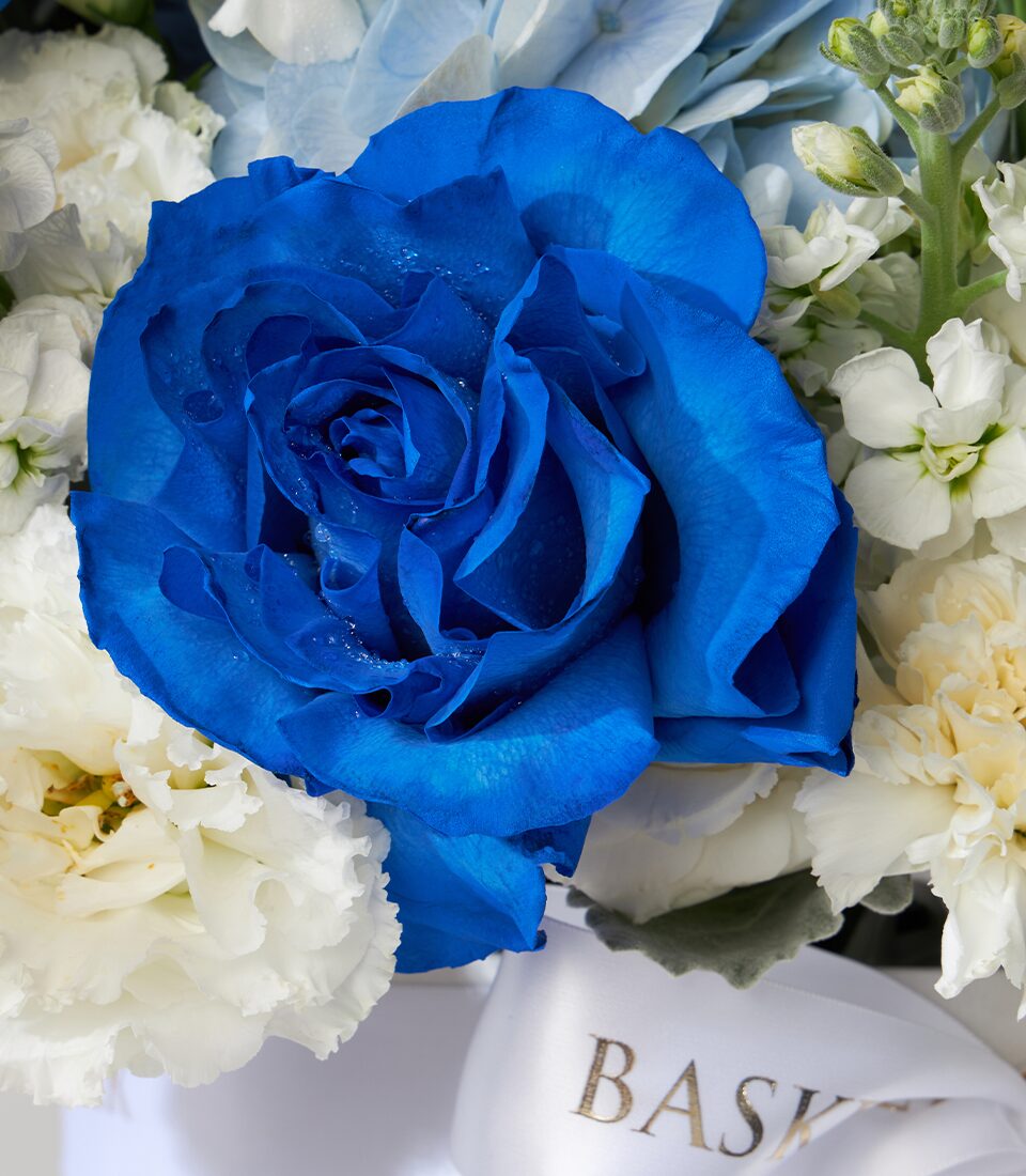 Elegant blue rose and white flower box with hydrangeas, carnations, and fresh foliage arrangement