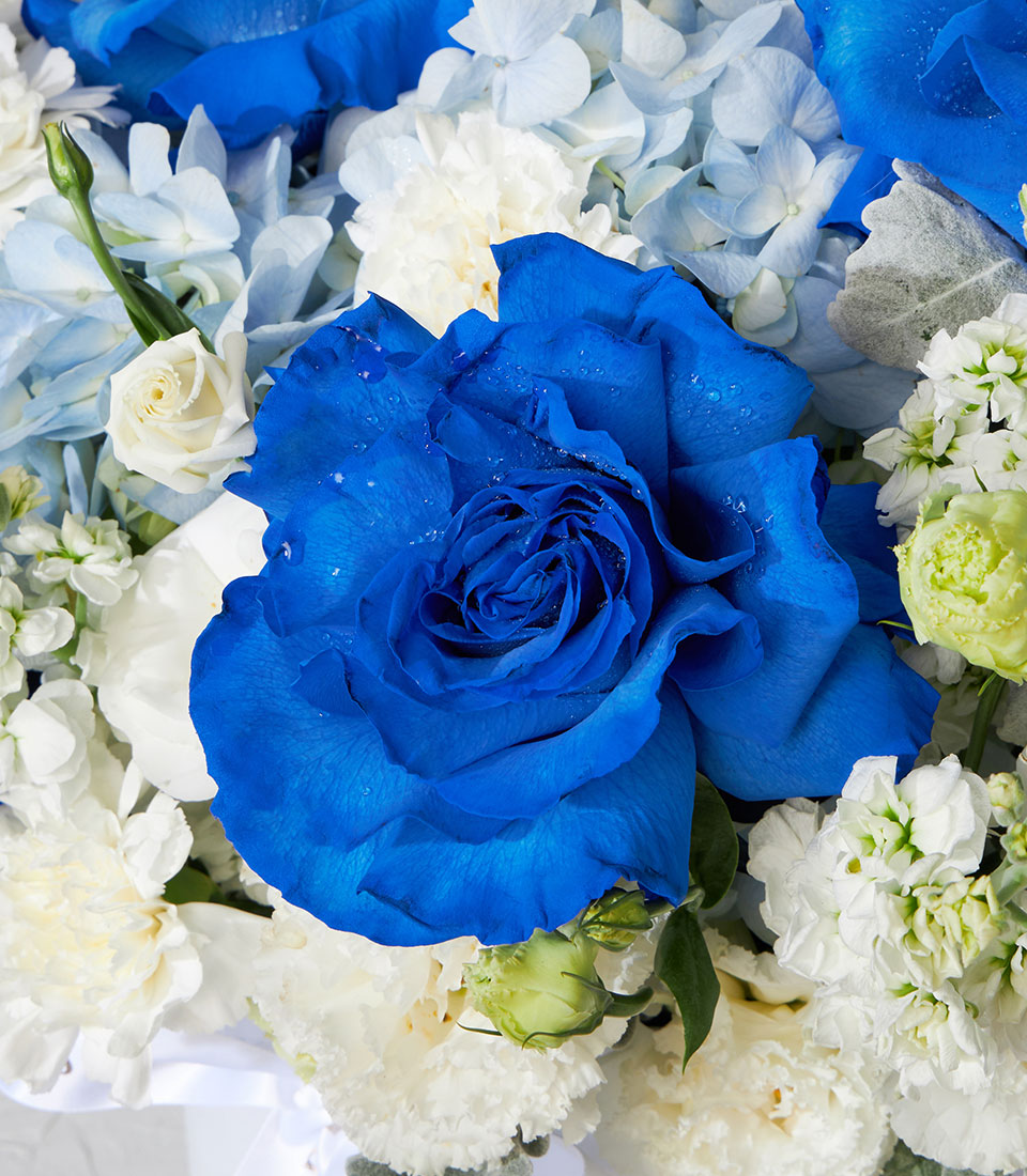 Tinted blue rose with white hydrangeas and carnations in elegant flower box arrangement
