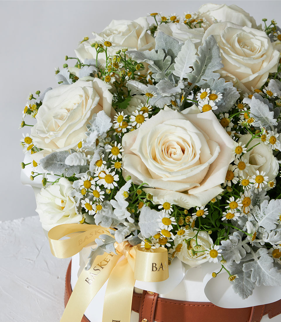 Creamy white roses with white daisies in round leather-strap box, gold ribbon accent